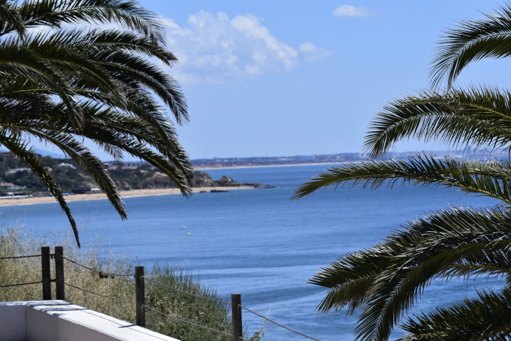 Albufeira beach with palmtrees