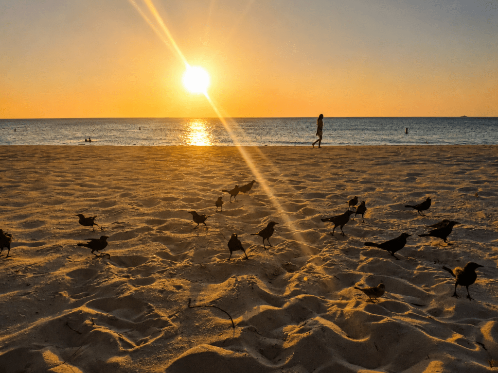 Zonsondergang op Eagle Beach Aruba met wit zand en Caribische Zee