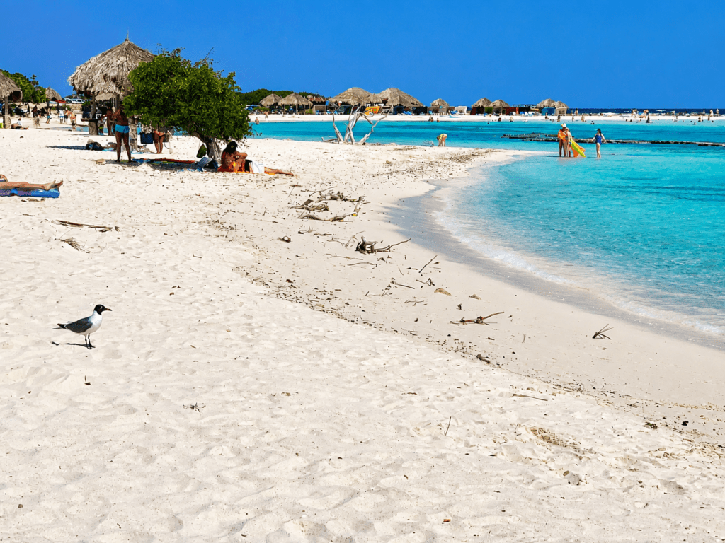 Baby Beach Aruba met wit zand en ondiepe turquoise lagune