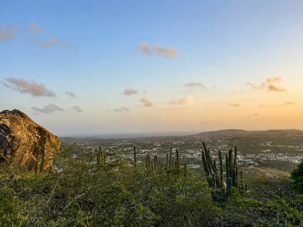 Cacti and green hills of Aruba in warm golden light, seen from Hooiberg