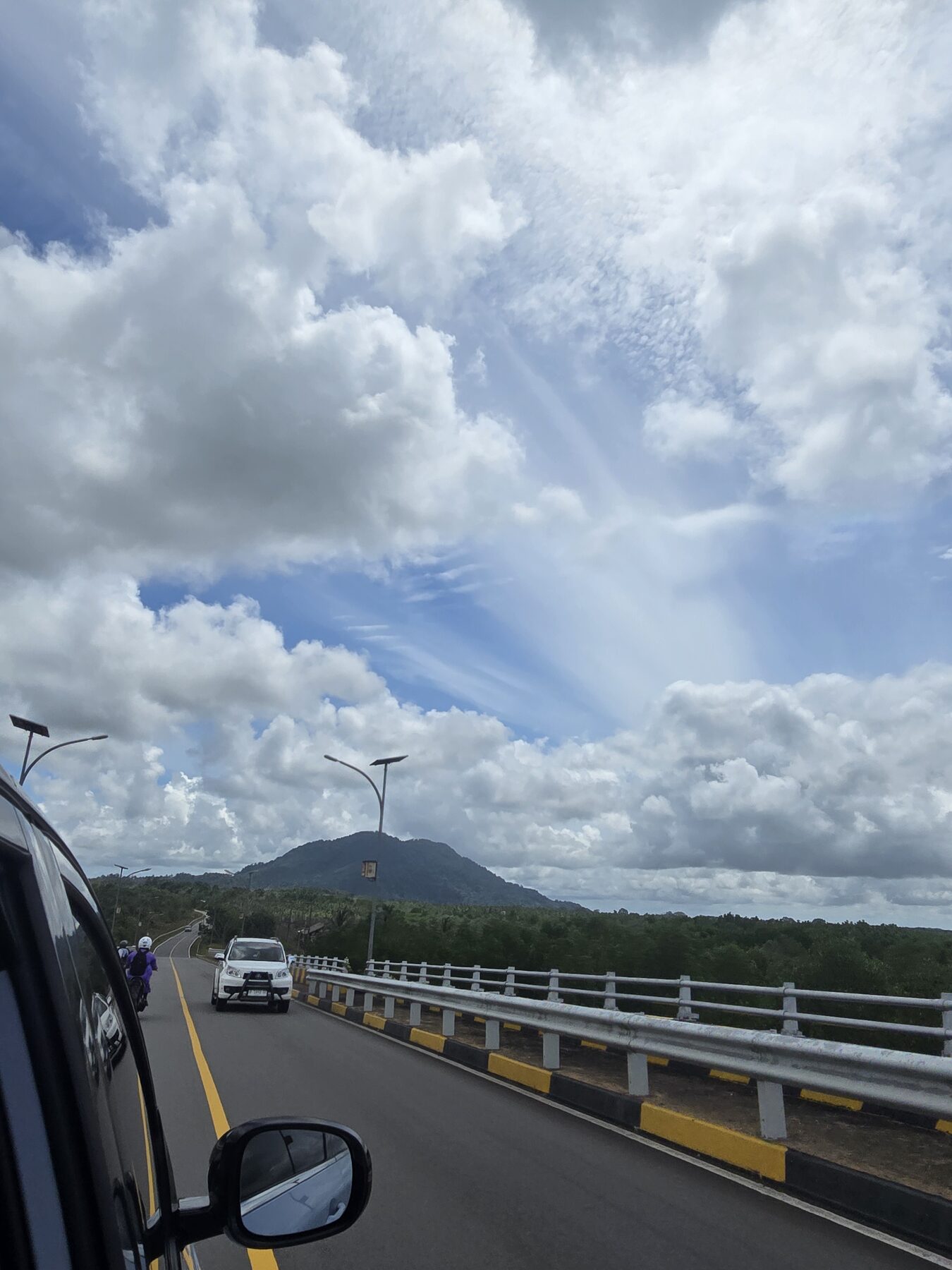 Weg met vangrails door het groene binnenland van Bintan, gezien vanuit de auto