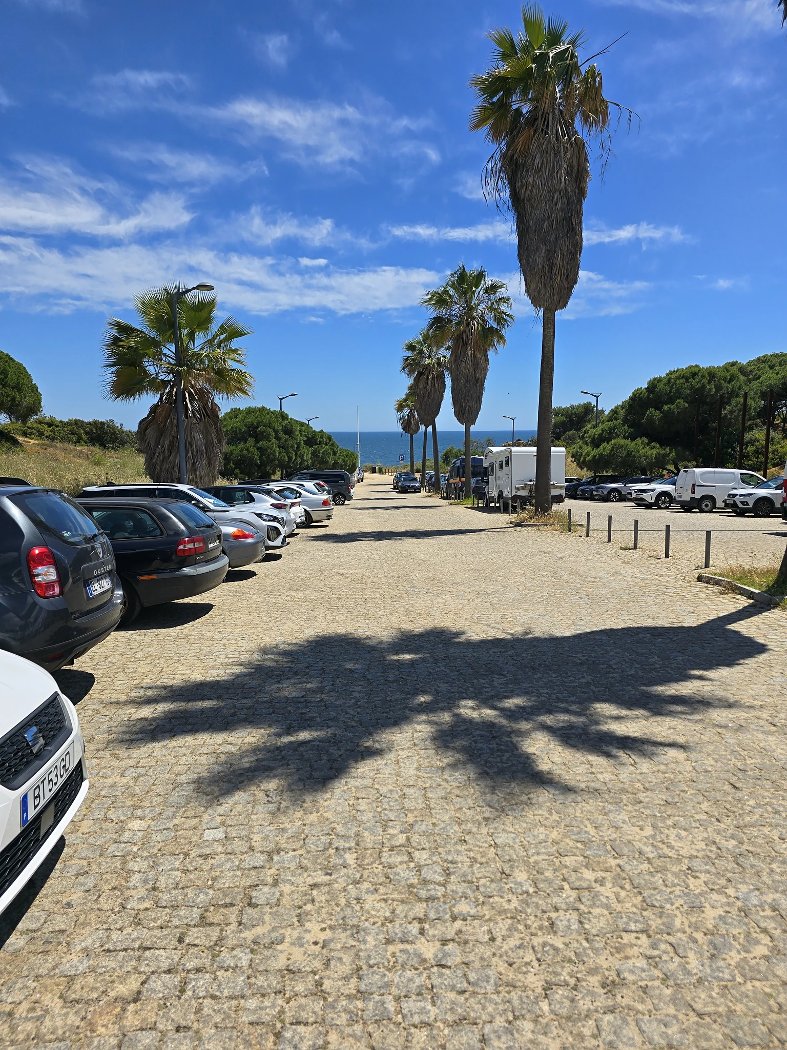 Parkeerplaats met auto's en palmbomen bij de kust van Albufeira.