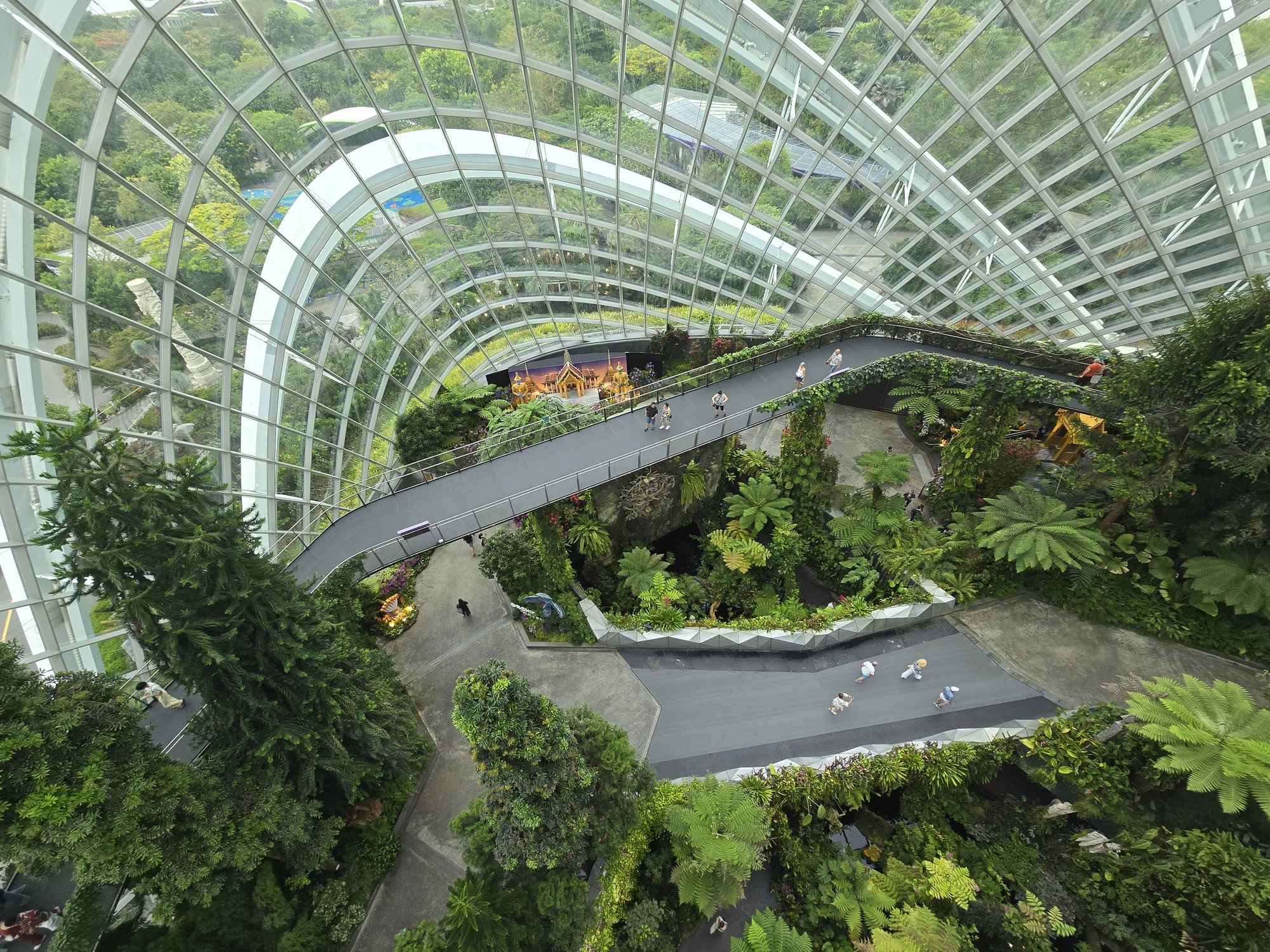 Loopbruggen boven tropische beplanting onder het glazen dak van Cloud Forest