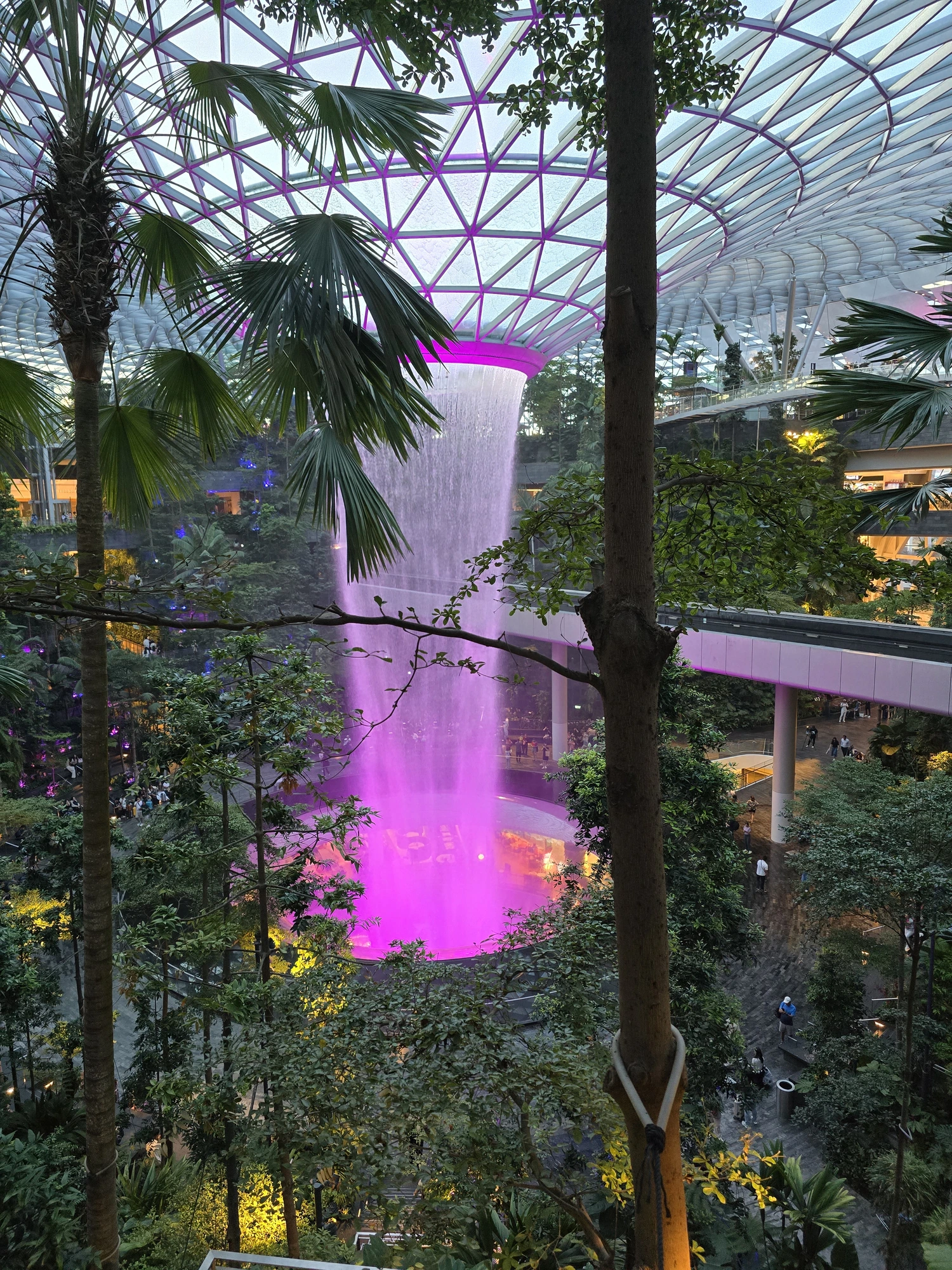Rain Vortex met roze verlichting tussen de bomen van Jewel in de avond