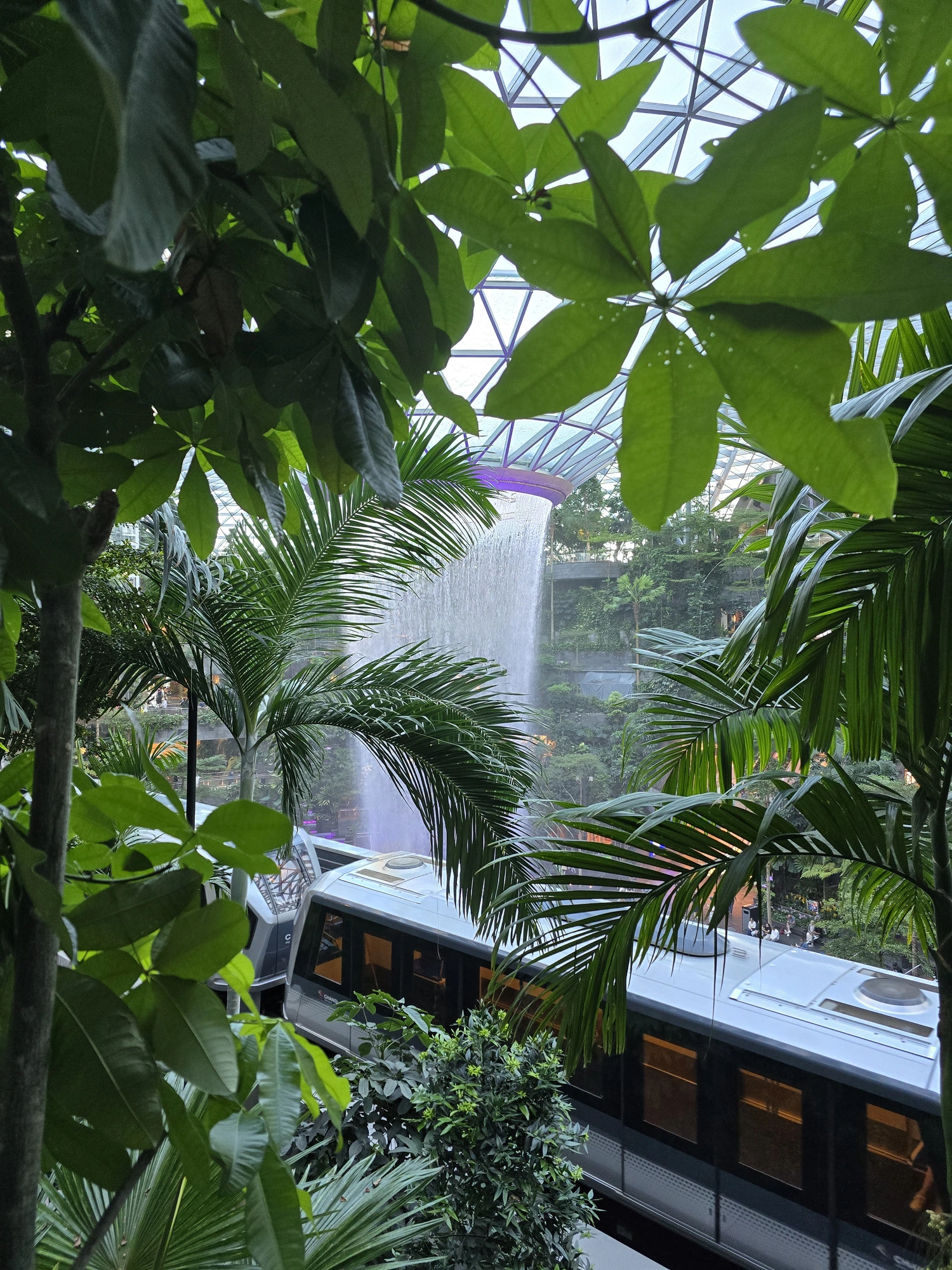 Skytrain tussen de bomen in Jewel, met de Rain Vortex op de achtergrond