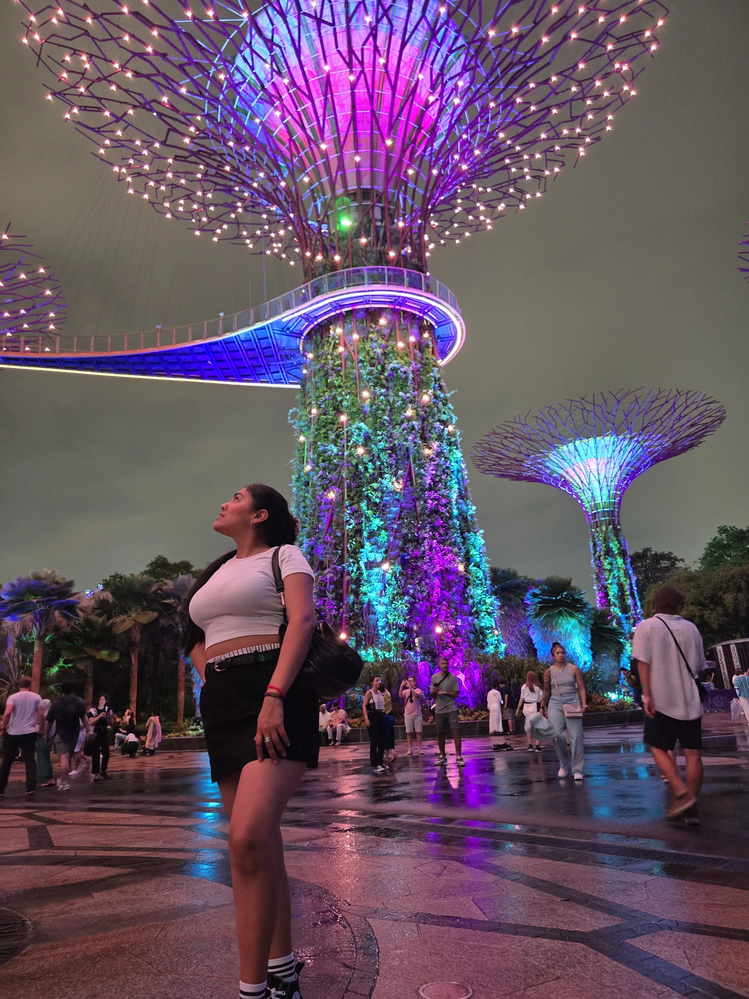 Kleurrijk verlichte Supertrees in Gardens by the Bay in de avond